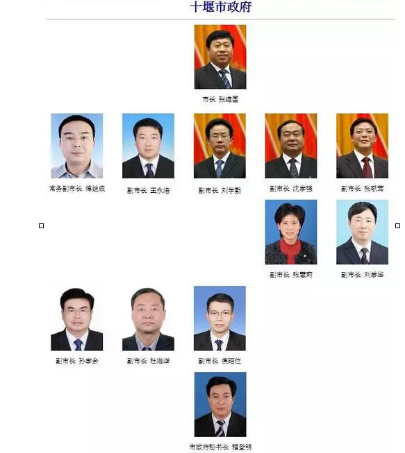 湖北最新干部任免及动态更新