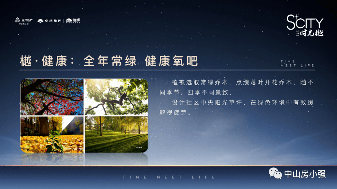新劲刚最新动态深度解析与观点阐述