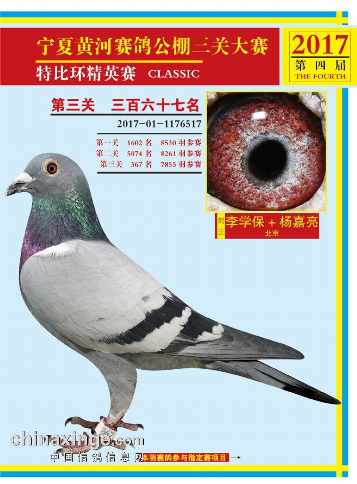 郑州黄河公棚引领科技前沿，重塑生活品质，最新公告揭秘！