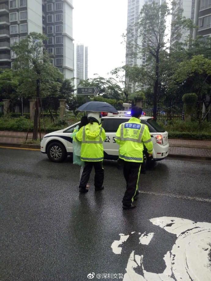 深圳交警最新动态更新，最新消息汇总