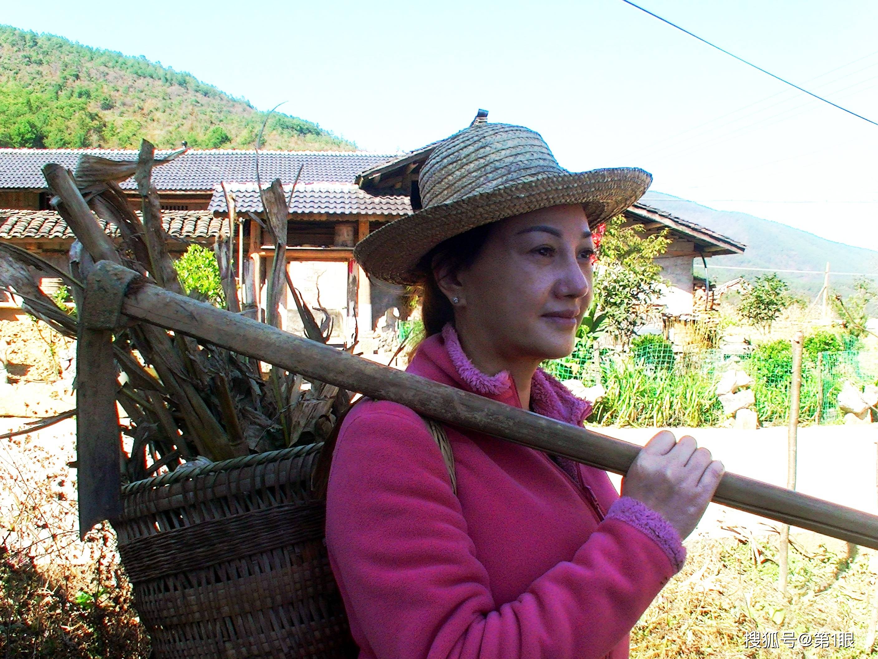 山村村妇，心灵与自然的奇妙之旅最新章节