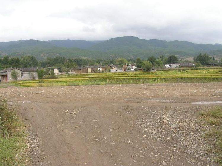 红窑镇最新招标，与自然美景的邂逅之旅启动
