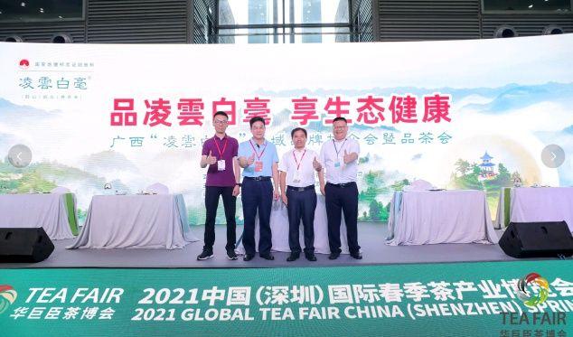 长寿最新楼盘，科技之光引领未来生活新篇章