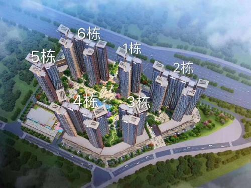 科技生活新纪元