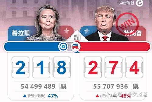 最新美国选举总票数深度解析与探讨
