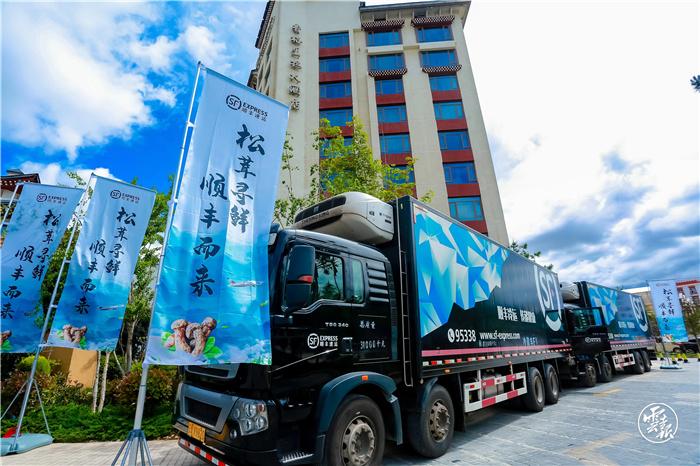 顺丰快递上市最新动态，全面步骤指南