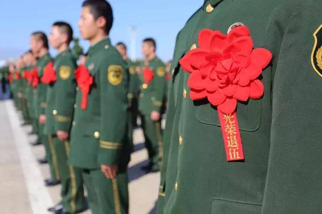 山东退伍兵最新动态更新，山东退伍兵最新资讯