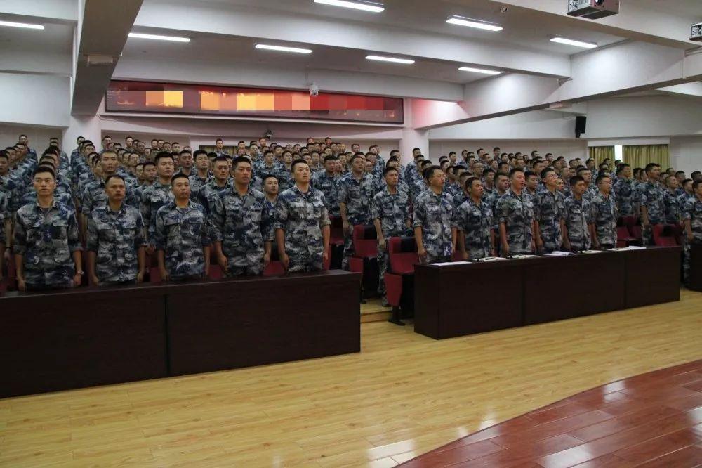 士官职业化最新动态，步骤指南与最新消息速递