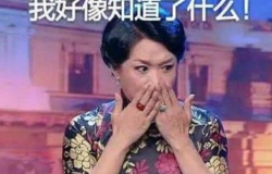 金星秀最新一期禁播，背景、影响与地位探究