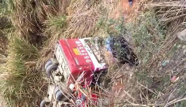 蕲春交通事故最新动态，深度分析与观点阐述