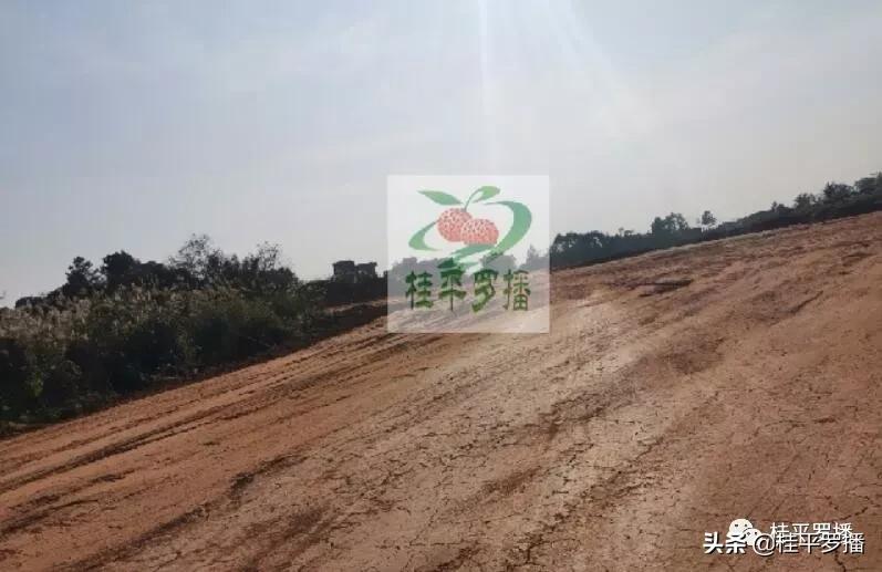 荔玉高速公路最新方案，温馨旅程即将启程