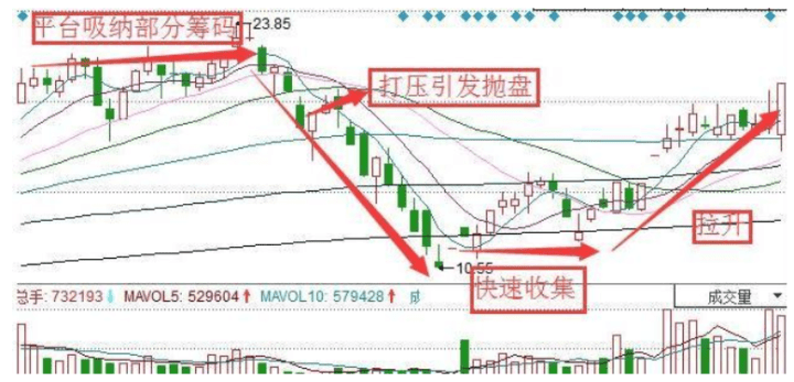 隐秘股市绿洲，股票投资的小巷故事