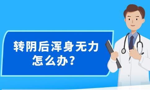 新澳精准资料免费提供最新版,完善实施计划_优雅版9.577