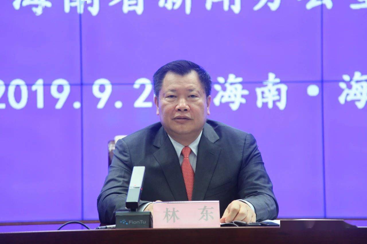 海南省林东的新职务，时代领航者的崛起及其影响