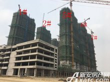 淮南钻石星座最新动态更新