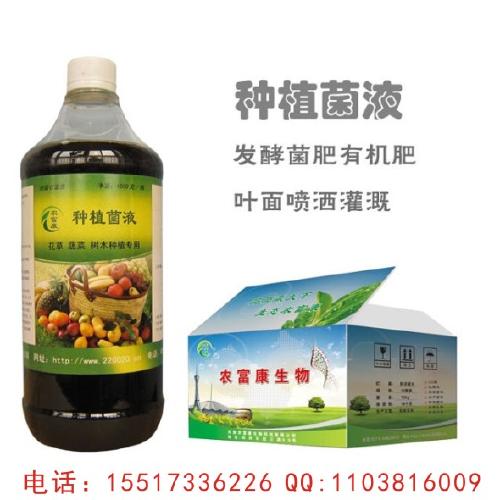 农业革新力量，新型菌肥引领绿色革命
