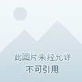 画皮2演员表，星光盛宴中的自然美景探索之旅