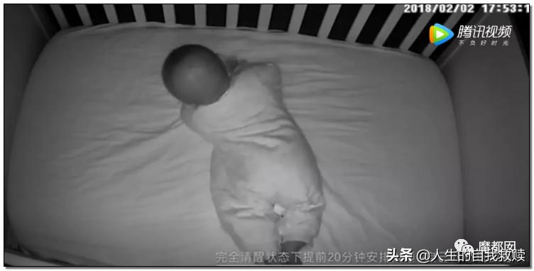 第1446页