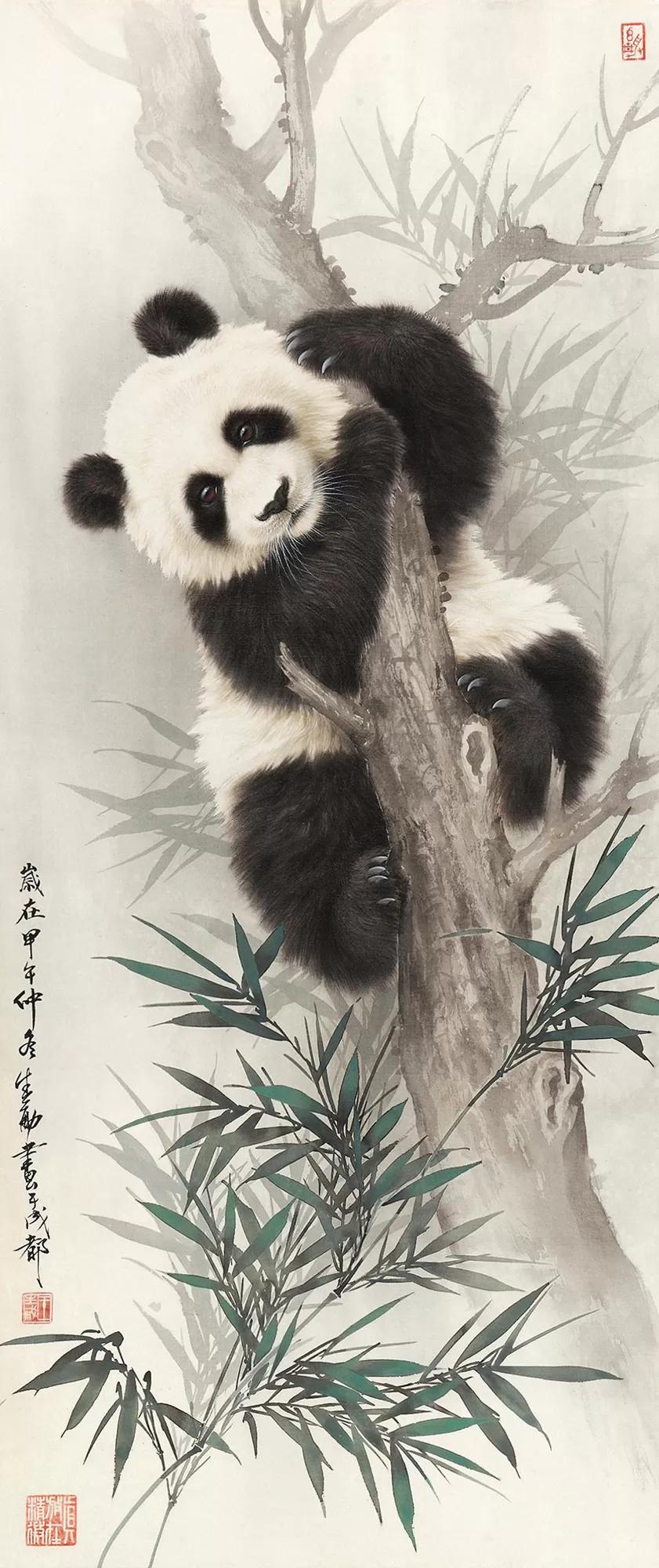 吉利熊猫最新价格，启程探索自然，内心平和之旅