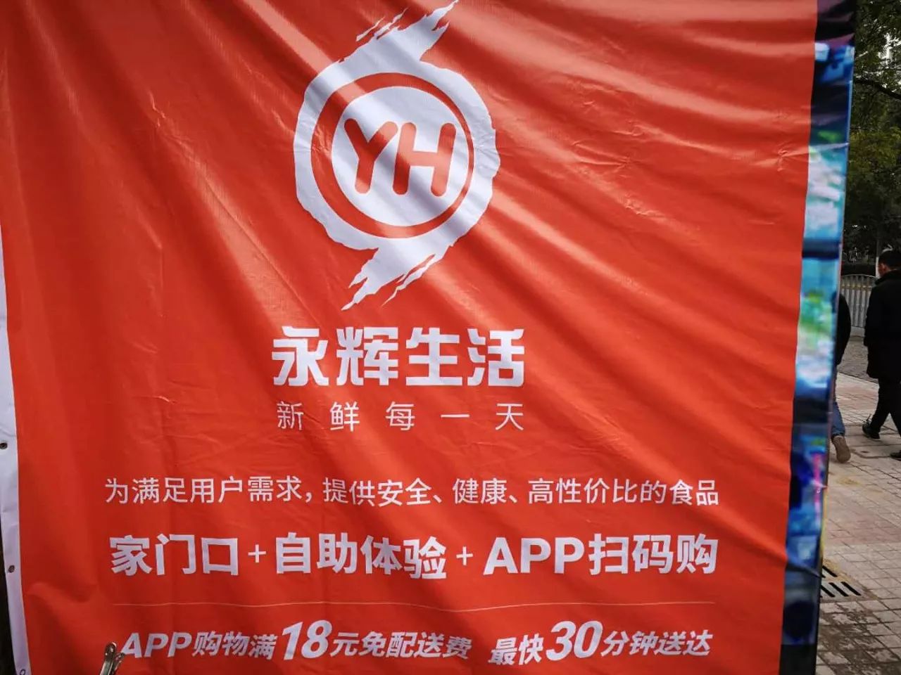 广州沙埔最新发展动态概览