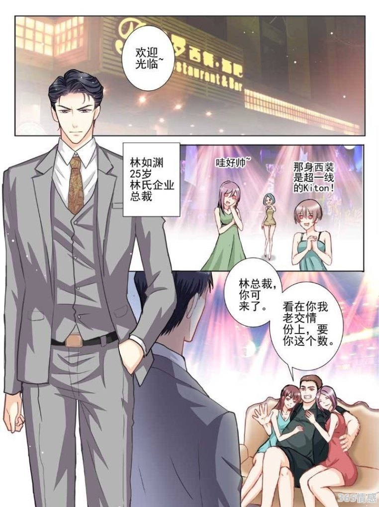 小巷中的总裁动漫乐园，深度探索与体验