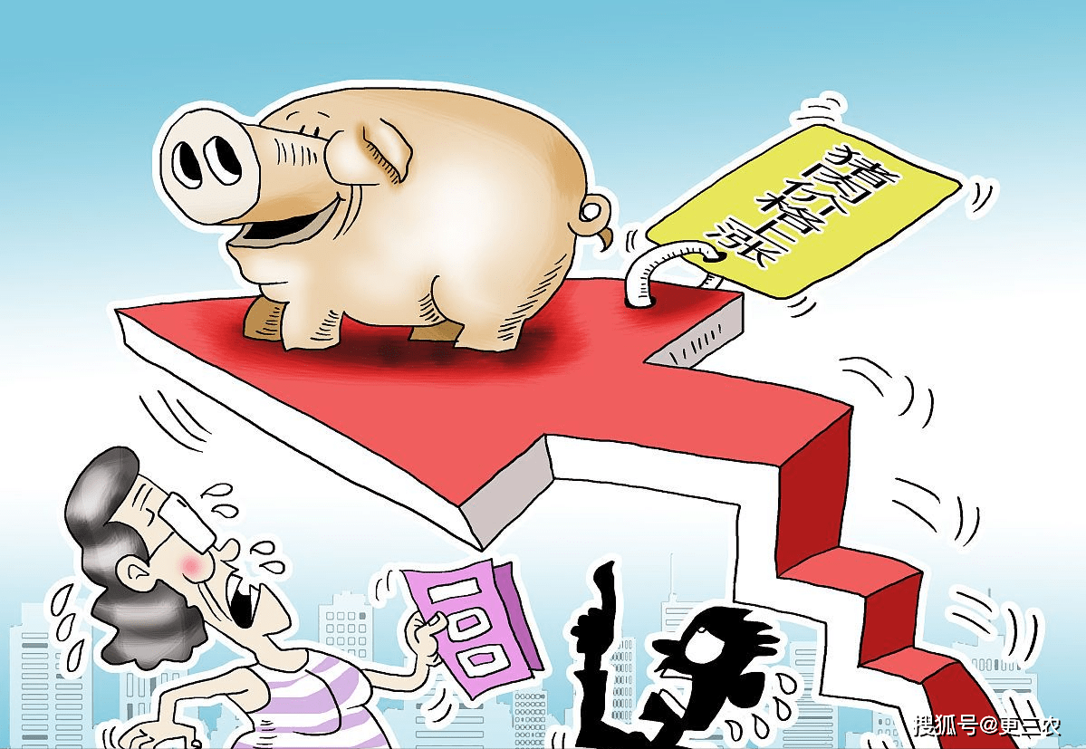 猪肉价格上涨应对指南，理性应对市场波动之道