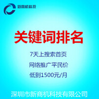 SEO关键词价格，科技智能引领未来
