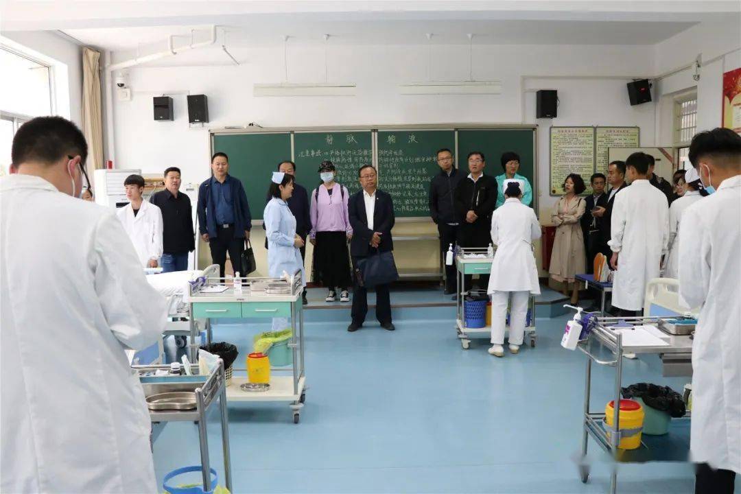 肉兔收购价格解析，行业现状与个人观点探讨