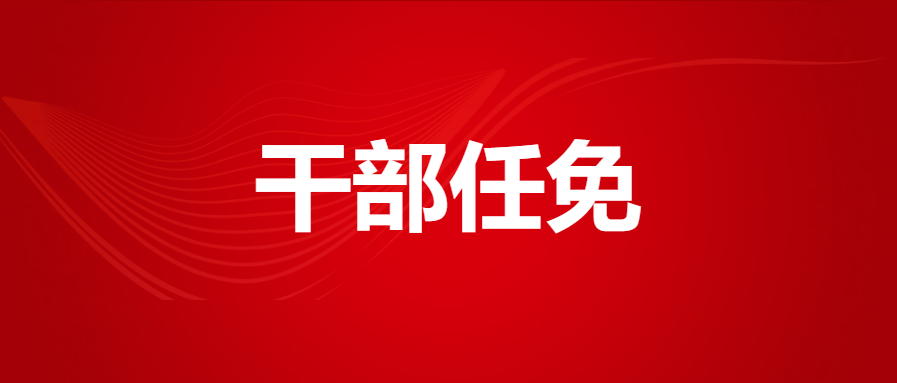 海南最新干部任免动态更新
