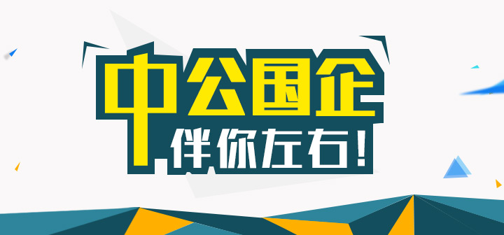 白峰最新招聘动态及观点论述揭秘