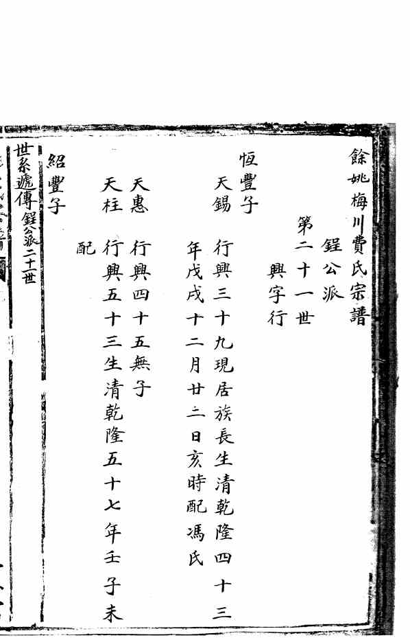 最新最全的费氏家谱概览