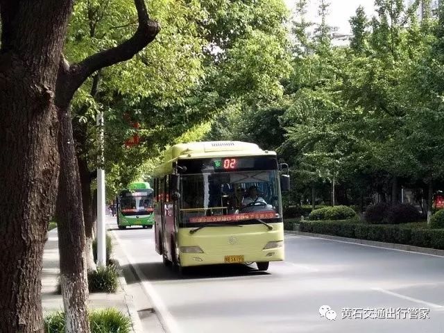 大冶七路车最新路线,数据分析计划_闪电版23.832