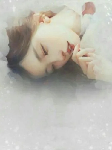 第1278页