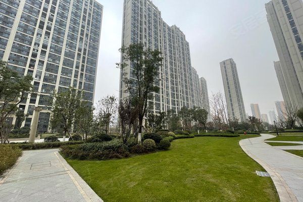 实地玫瑰庄园最新房价揭秘，一探究竟的购房指南