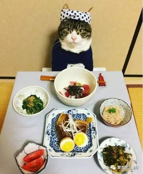第1260页