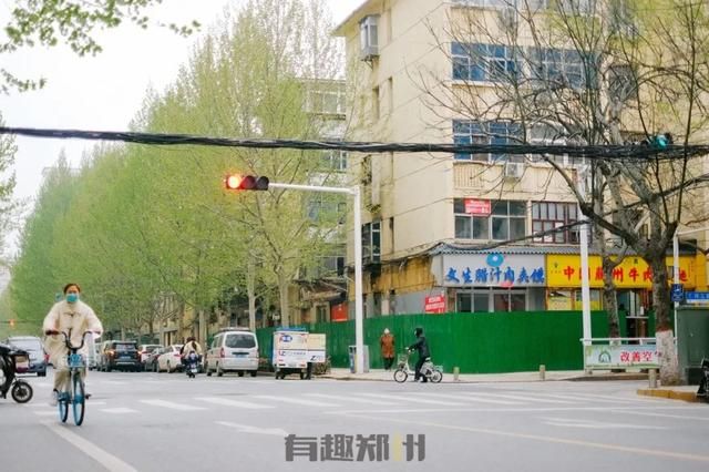 住改商最新规定揭秘，小巷深处的独特风情与隐藏商机