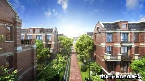 上海卢工邮市最新行情概览