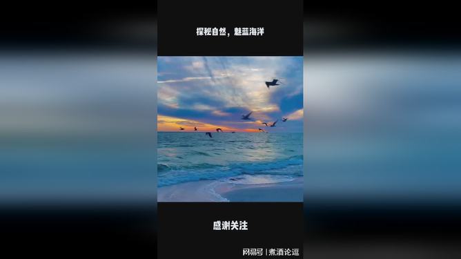 第1246页
