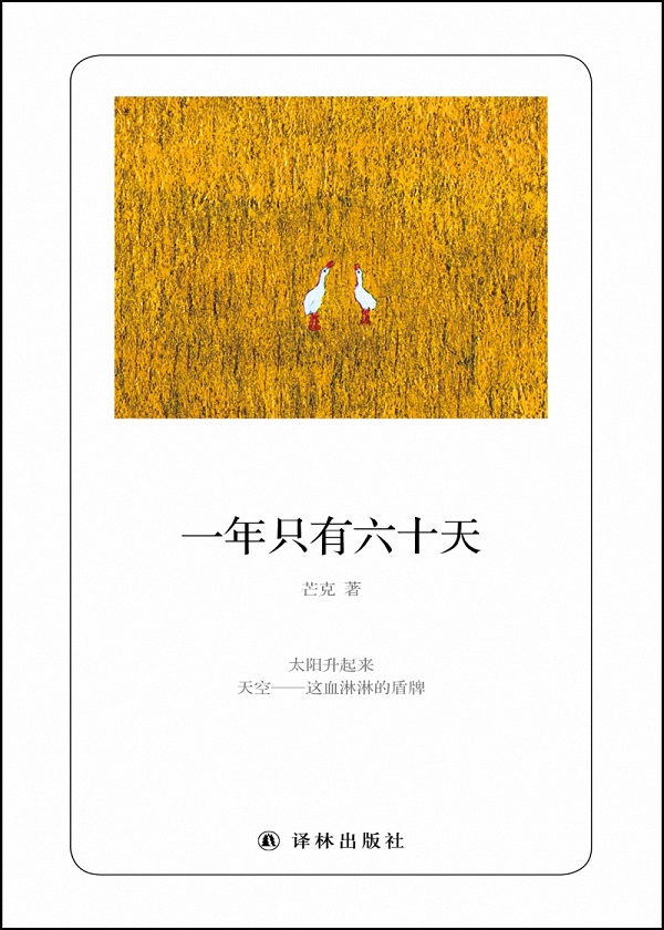 谭璇江彦丞最新动态揭秘，聚焦二人的世界发展