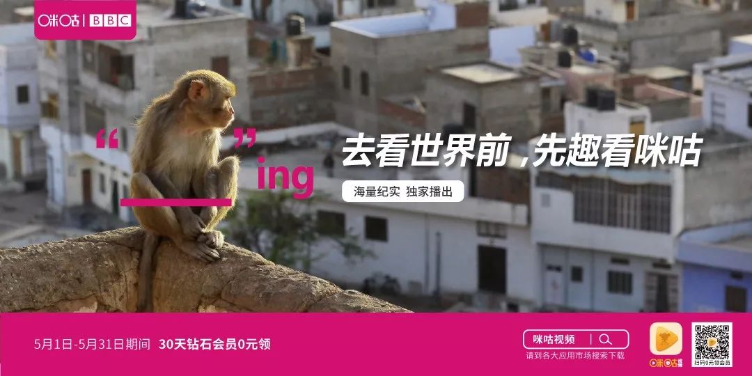 宝音仓最新比赛视频，小巷深处的宝藏展现！