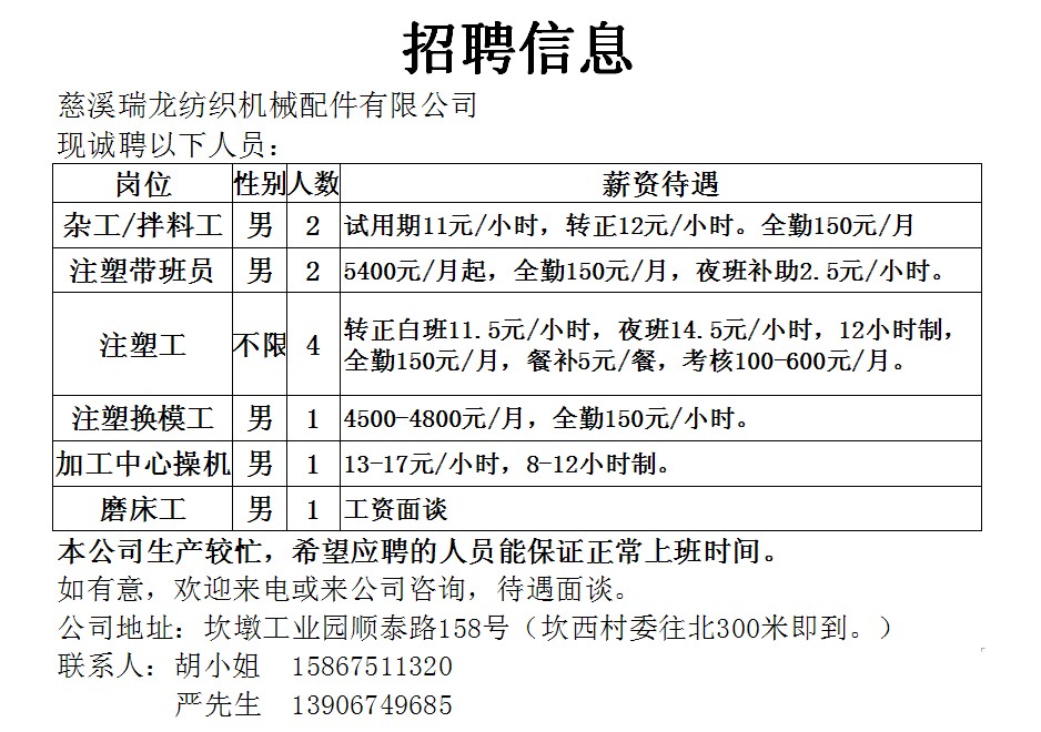 慈城最新招聘信息大全，获取指南与动态更新