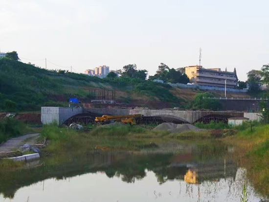 清泉坝最新消息,清泉坝最新消息——友情与陪伴的温馨日常