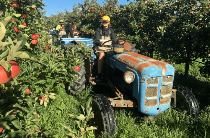 最新款绞肉机，自然美景探险之旅的必备神器