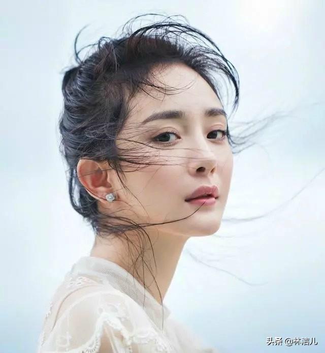 第1219页