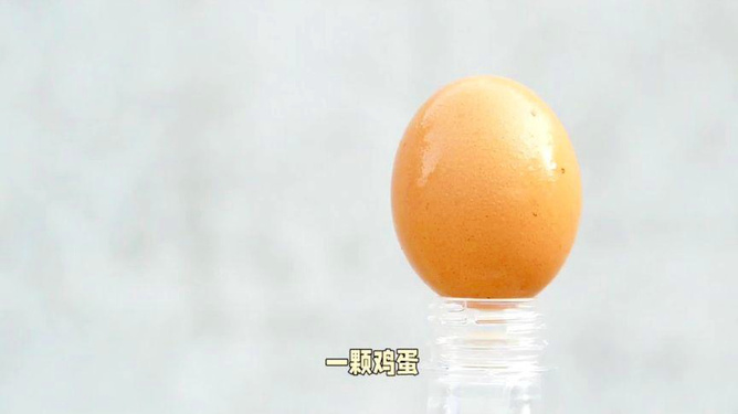 黑龙江鸡蛋行情揭秘，日常故事中的奇妙旅程