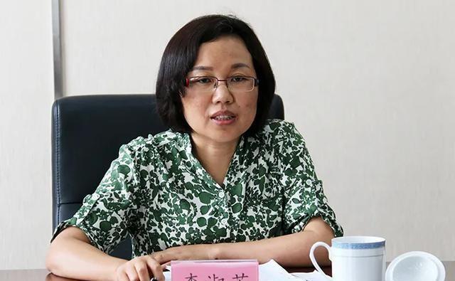 权力之路探寻与洞察，官路法则最新章节解析