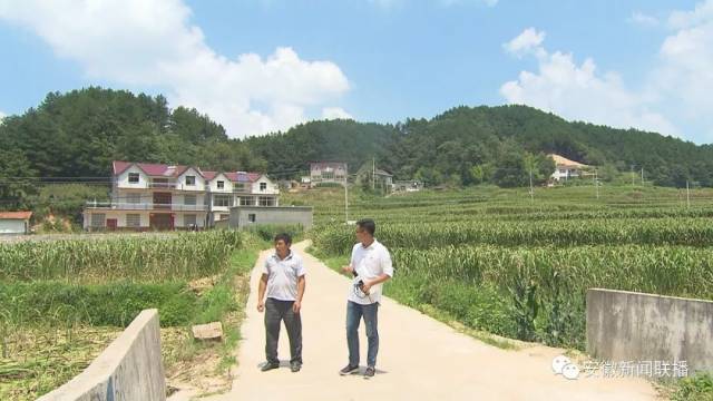 岳西县最新新闻,岳西县最新新闻