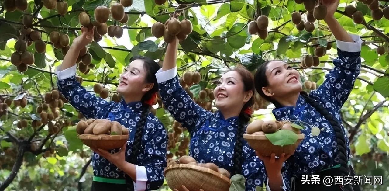 主视角最新电影在线观看，影视娱乐新纪元探索