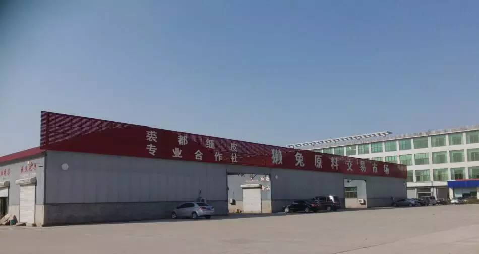 河北尚村獭兔最新价格,河北尚村獭兔最新价格，市场变迁与产业地位