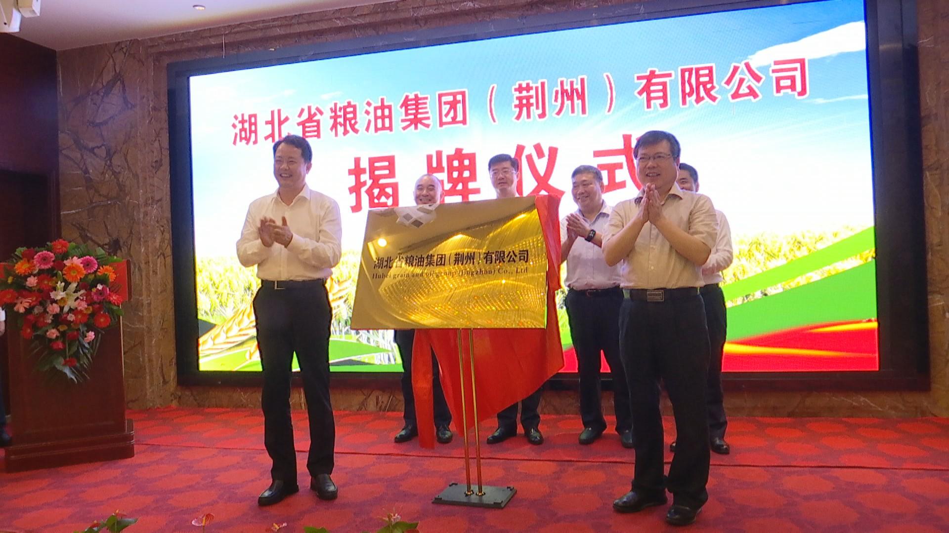 湖北油菜籽最新价格概览及市场动态分析
